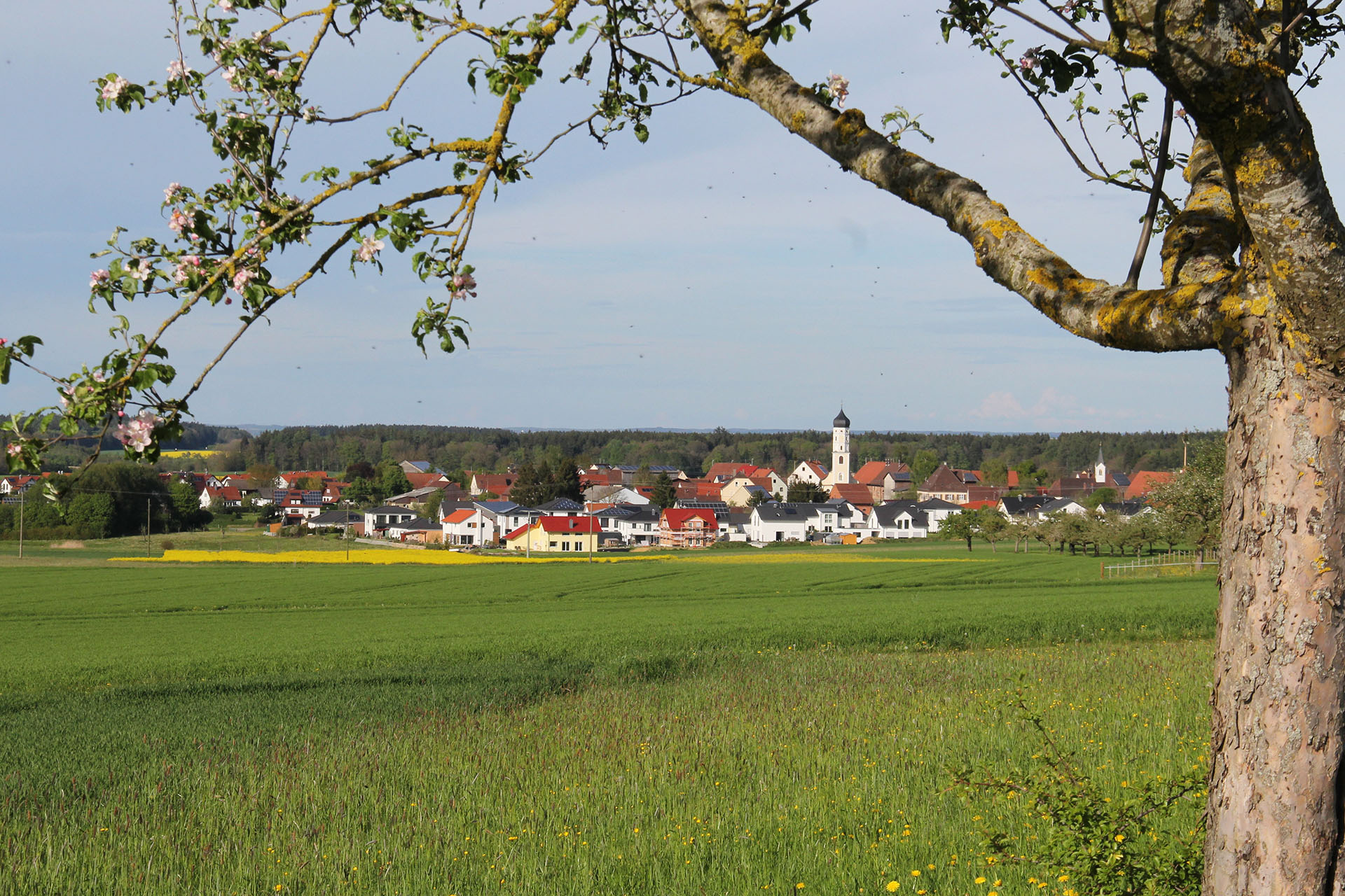 wechselbild