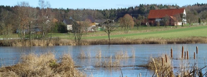 Weiher in Gutershofen