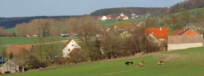 Ortsansicht Willenhofen